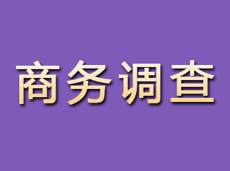 霍邱商务调查